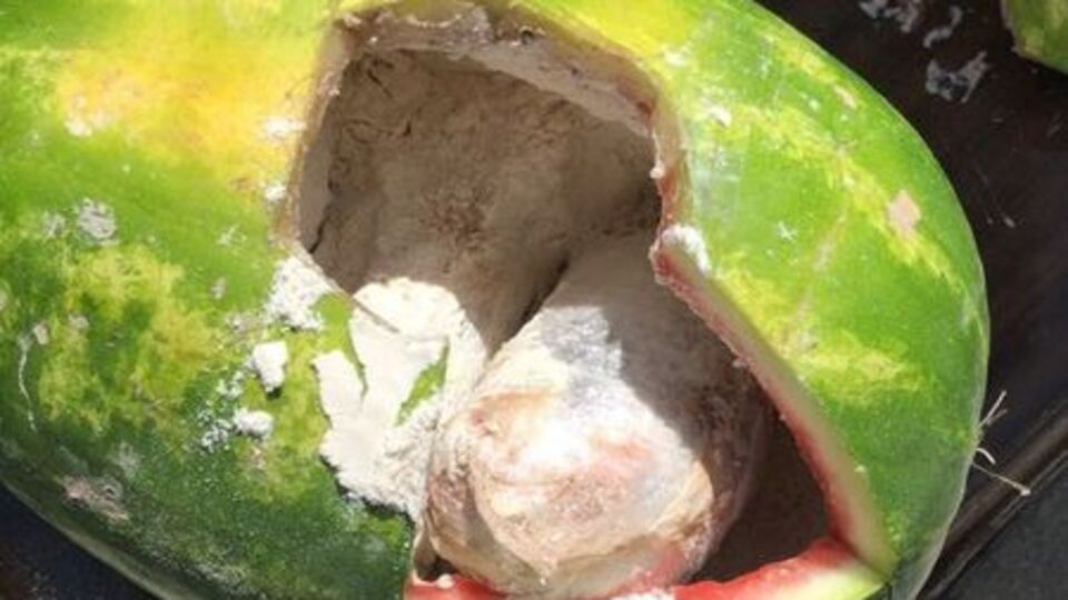 Kesmece karpuzdan çıkanlar şaşkına çevirdi!