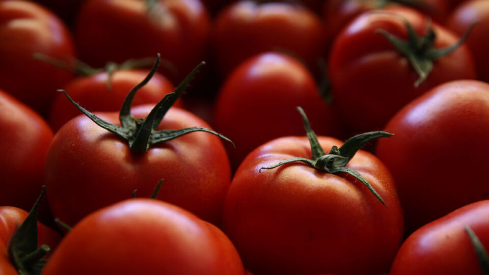 Kısıtlamalar bugün kalktı! Ateşi düşecek...