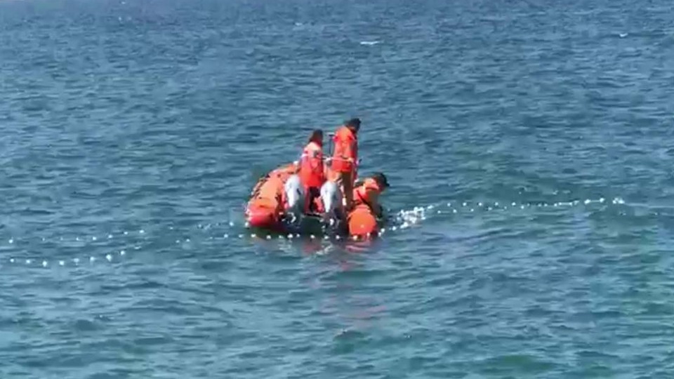 Karadeniz açıklarında yunusları kurtarma operasyonu 3 saat sürdü!
