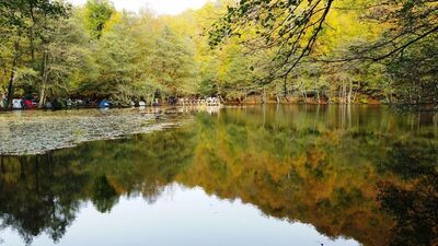 Yedigöller gezi rehberi!