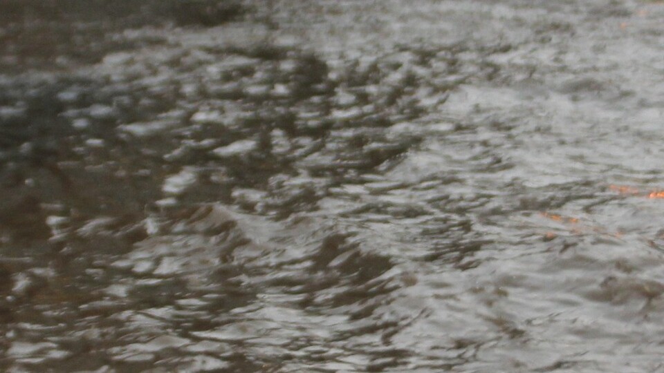 Aniden bastıran yağış, caddeleri dereye çevirdi