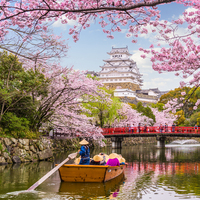 Japonlara sakın bunu yapmayın! Beddua olarak algılanıyor