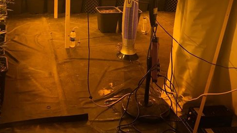 Lüks villaya girdiklerinde gözlerine inanamadılar!