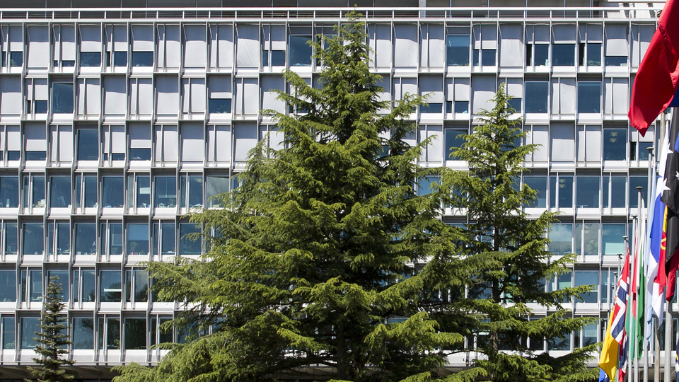 Yılda 7 milyon kişi o yüzden ölüyor! DSÖ, hükümetleri göreve çağırdı!