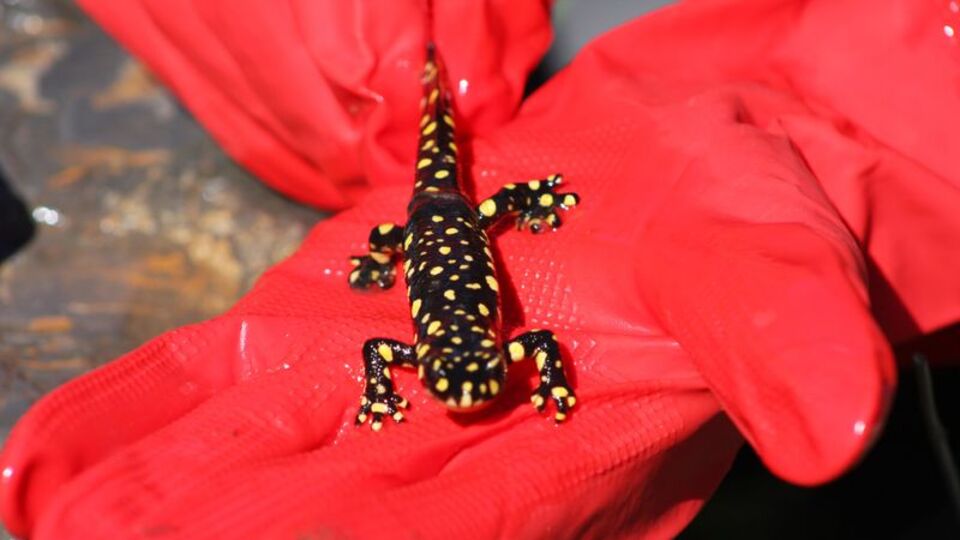 Köylüler korkudan su bile içemiyor