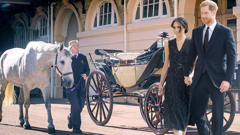 Gelin ata binmiş 'Ya nasip' demiş!