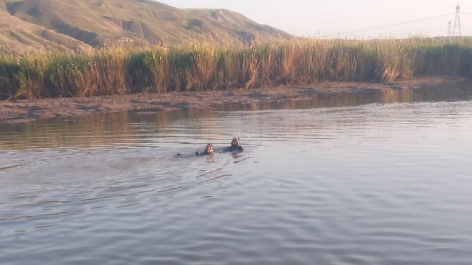 Kızılırmak'ta akıntıya kapılan 1 kişi boğuldu, 1 kişi kayboldu