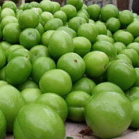 Yeşil erik yemeniz için 11 neden!