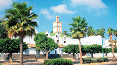 Çölde eğlence: Casablanca!