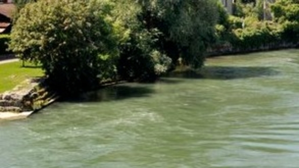 İsviçre'de köpek katili çifte ağır ceza!