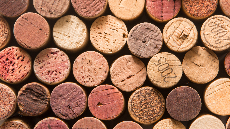 Almanya gençleri alkolden korumak için kolları sıvadı