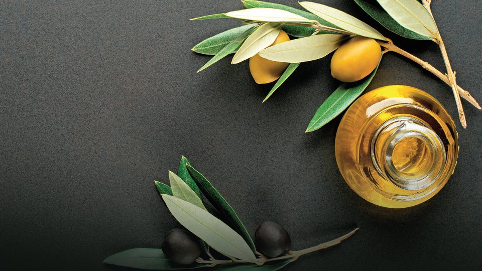 Zeytinyağının İtalyan yıldızları İstanbul'da