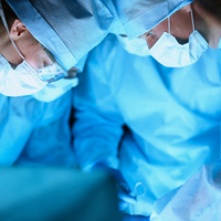 "Organ naklinde zengin, fakir, din, dil, ırk, cinsiyet ayrımı yok"