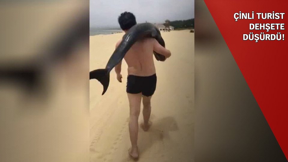 Sırtına aldığı yunusu öldürdü, evine götürdü!