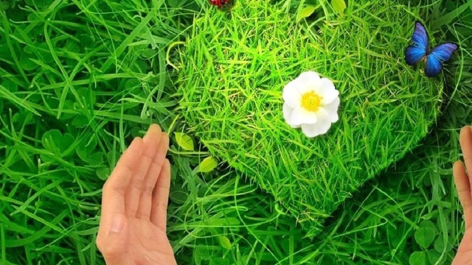 Kişisel bakımda 'organik devrim'