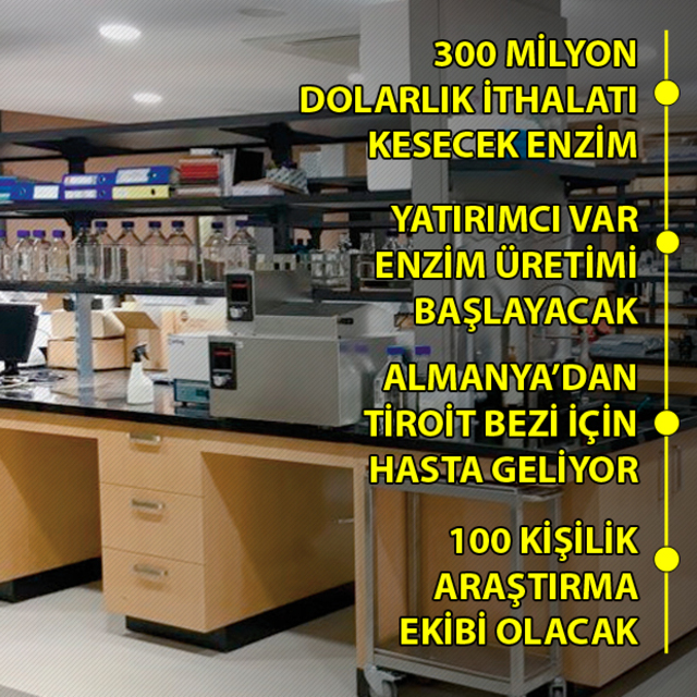 Tersine beyin göçü görevimiz