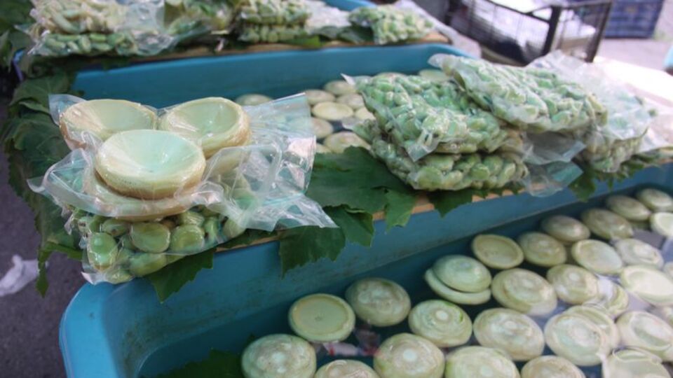 Günde 20 saat çalışıyorlar, paketini 10 liradan satıyorlar