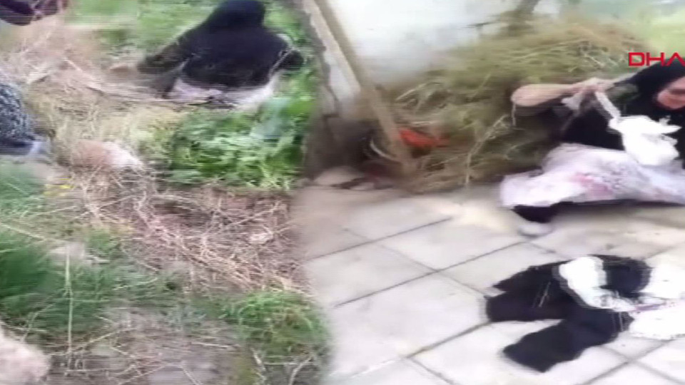 Yük taşıyan kadın düştü, kardeşi gülme krizine girdi