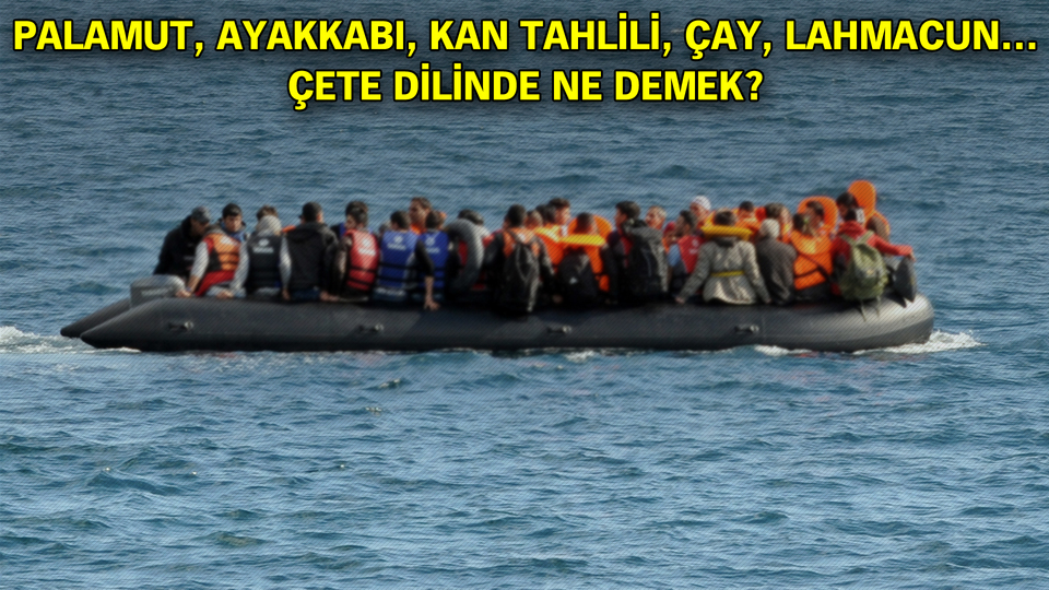 Göçmenler için 'Koyun' diyorlarmış