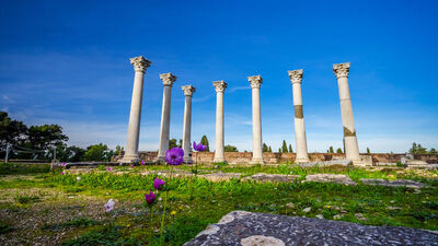 Kos Adası plajları ve gezilecek yerler...