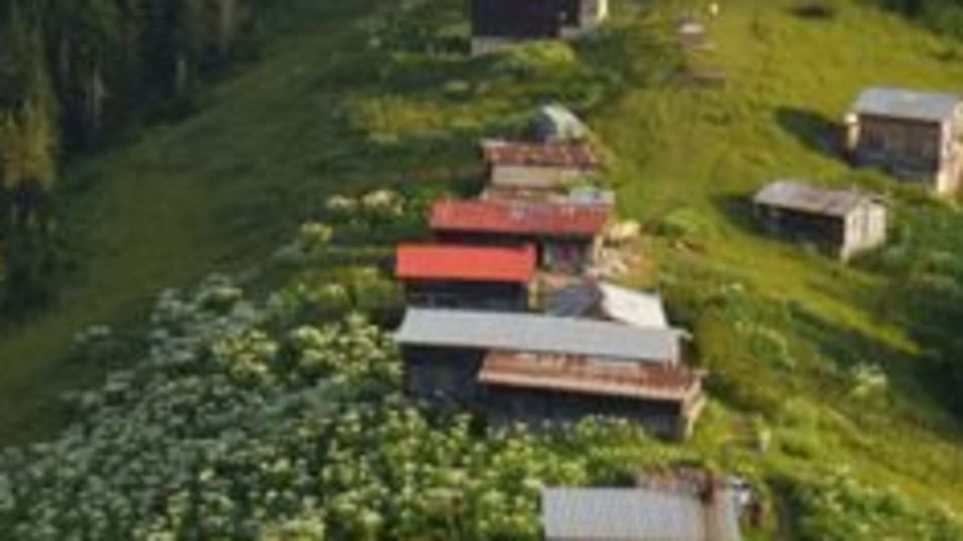 Rize yaylaları gezi rehberi! Ayder Yaylası, Potuk Yaylası Anzer Yaylası ...
