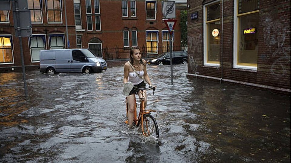 Hollanda'da sağanak yağış ve su baskınlarına karşı 'yeşil çatı' çözümü