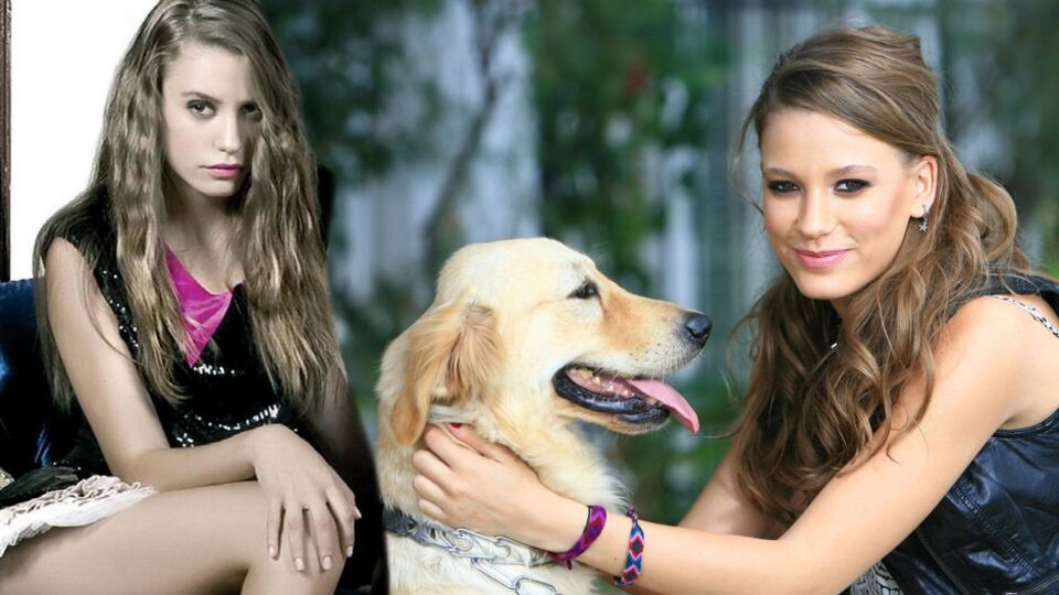 Çocuk işçi davası Ticaret Mahkemesi'nde görülecek