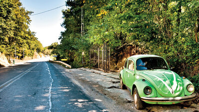 İstanbul'da bir Leh köyü! Kuruluş hikâyesiyle bildiğiniz köylerden çok farklı!