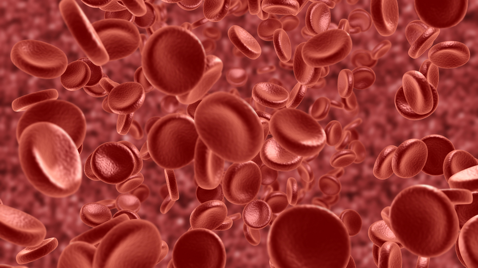 Devletten kalıtsal hastalığı olan çiftlere destek!