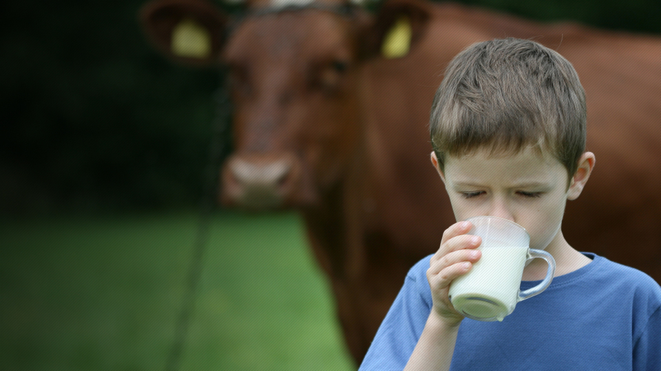Et ve sütte 10 maddelik reçete