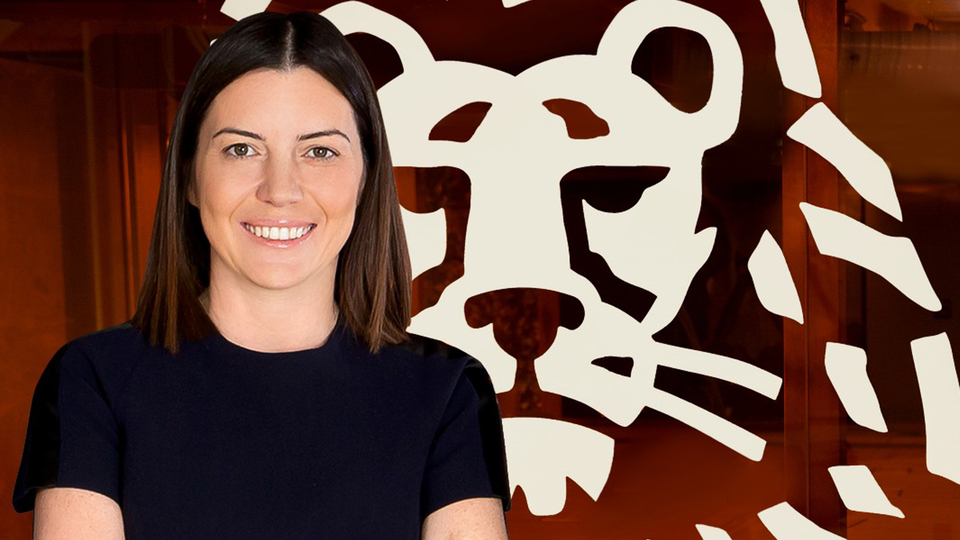 ING Bank'tan ekonomiye 47.5 milyar TL'lik kredi desteği