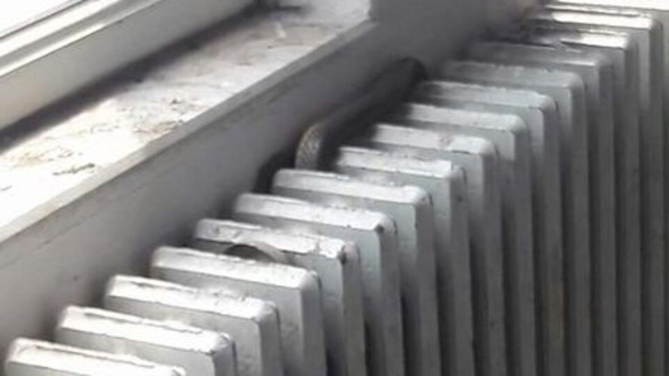 Okulu boşalttıran olay! Öğrenciler kalorifer peteğinde gördü