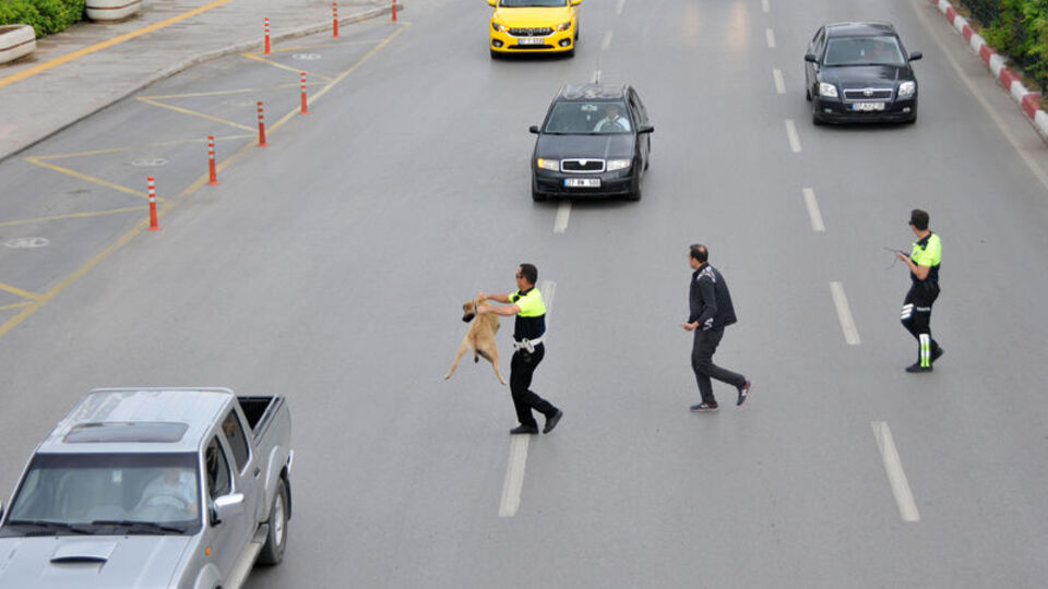 Burası Antalya! Herkes polisin yaptığını izledi