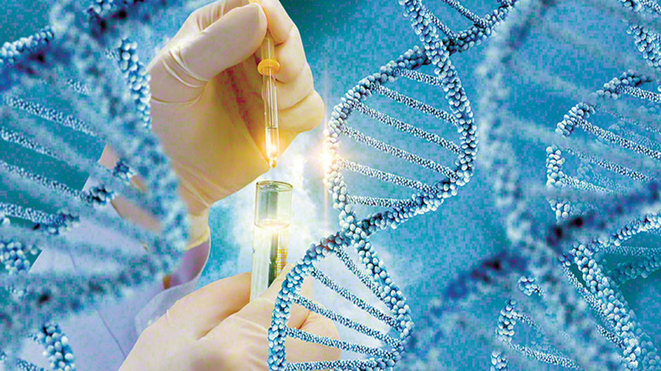 Sağa sola DNA saçmayın