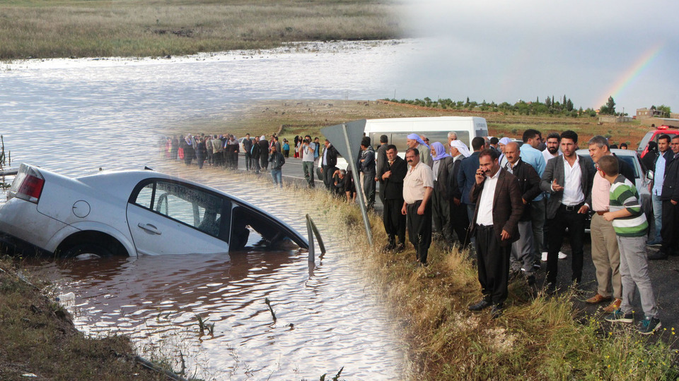 Günün en acı karesi! Sıraya dizip saydılar