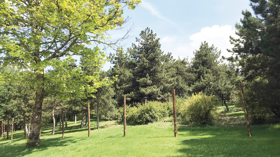 Meclis'e hayvanat bahçesi