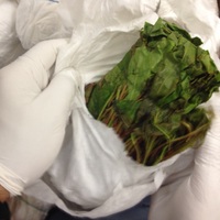 Uyuşturucu kuryesi çıkan polisin cezası belli oldu!