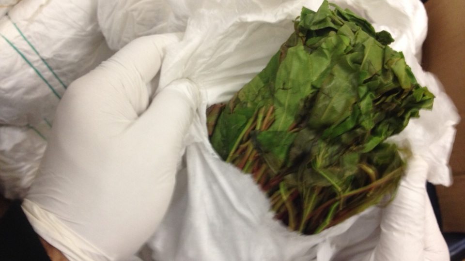 Uyuşturucu kuryesi çıkan polisin cezası belli oldu!