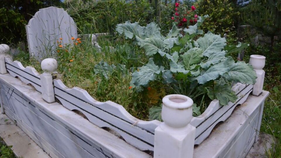 "Rahmetli çok severdi" deyip ektiler!