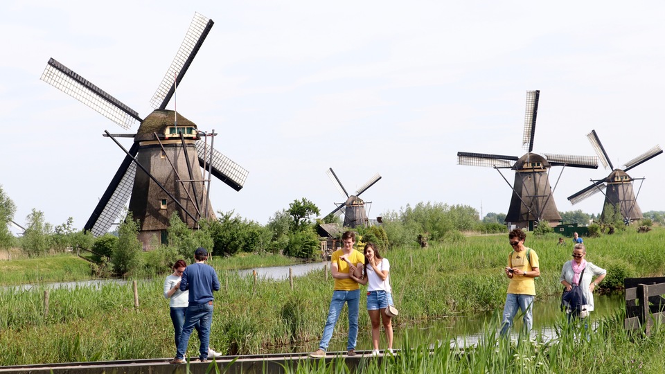 Değirmenlere karşı festival!