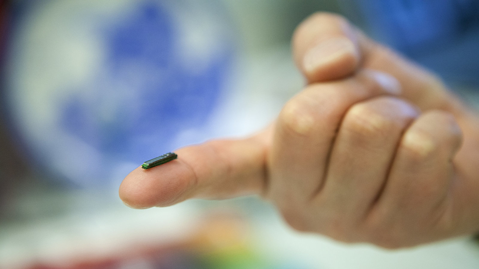 Binlerce kişi çipli yaşıyor! Kimlik yerine geçiyor