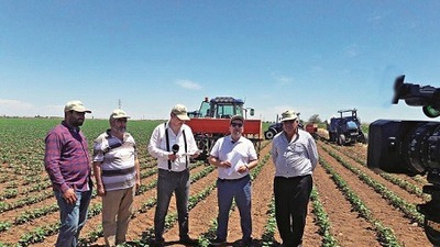 Toprak ve su analizi ile çiftçinin verimini yüzde 40 artırdı