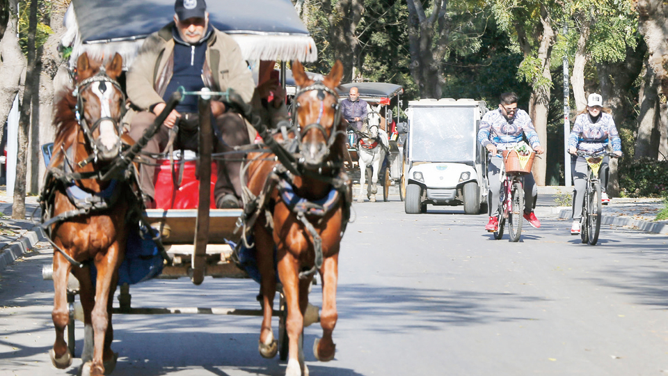 'Faytonlar kaldırılsın beygirlere özgürlük'