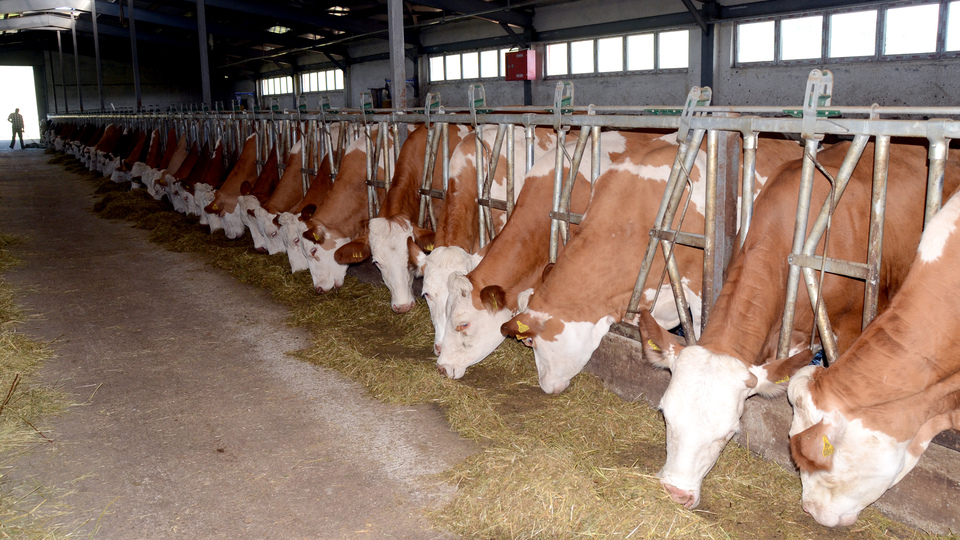 Ukrayna'dan Türkiye'ye et ihracatı için izin çıktı