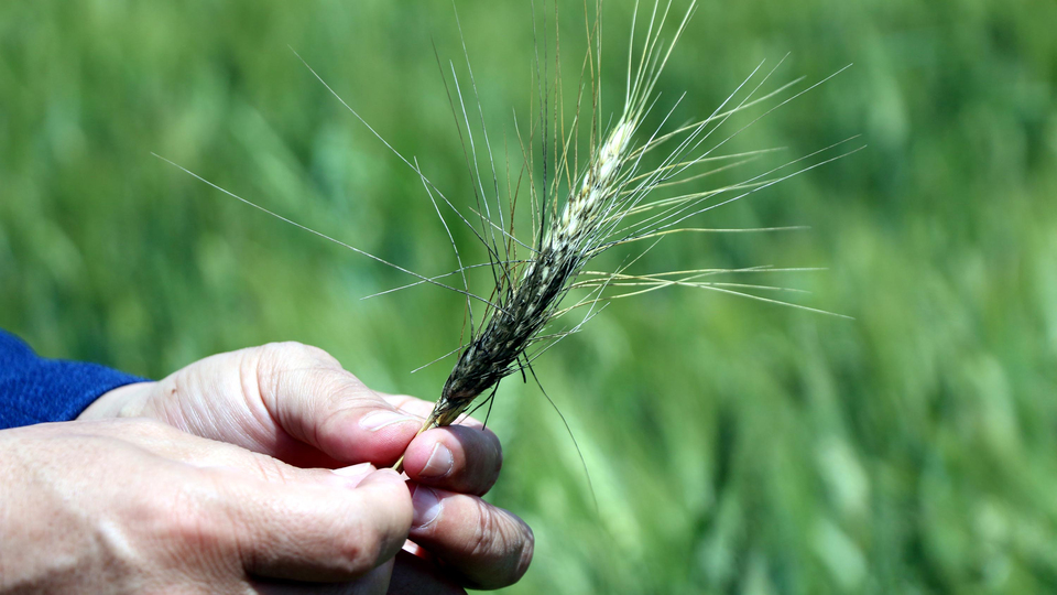 "55 üründe dünyada ilk 10 sıradayız"