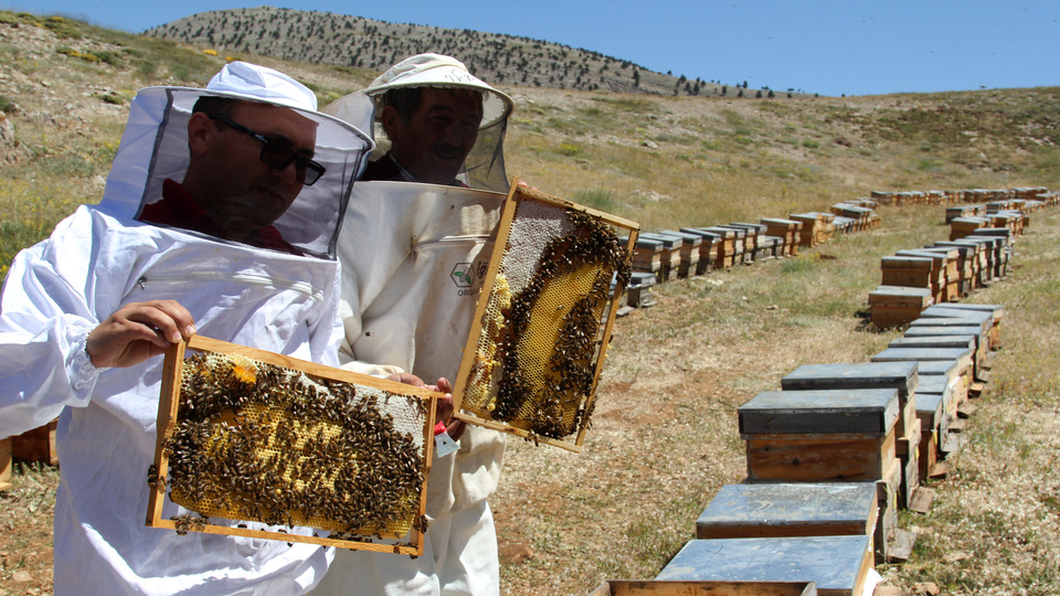 Organik bala destek geldi!