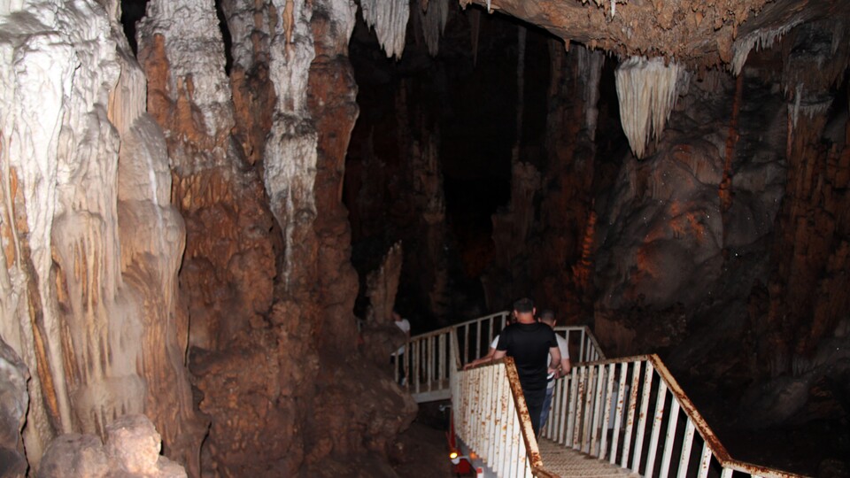 Mersin'de çoban kirpiyi takip ederken bulmuştu! 10 milyon yıldır yaşıyor!