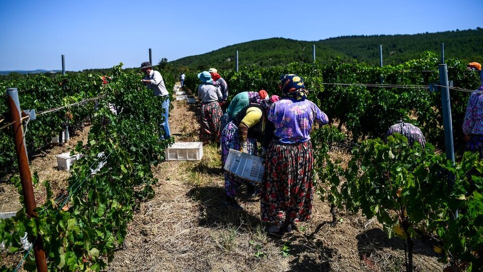 İsrail Türkiye'den tarım ürünleri ithalatını dondurdu