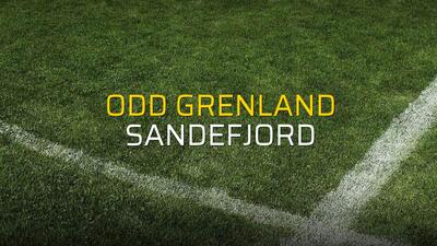 Odd Grenland - Sandefjord maçı istatistikleri