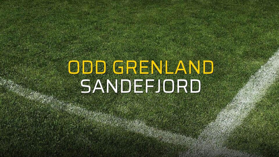Odd Grenland - Sandefjord maçı istatistikleri